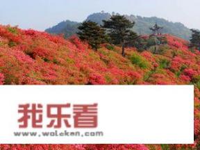 百里杜鹃归黔西还是大方？
