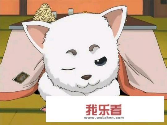 有哪些可爱的卡通动物？