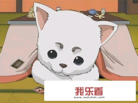 有哪些可爱的卡通动物？