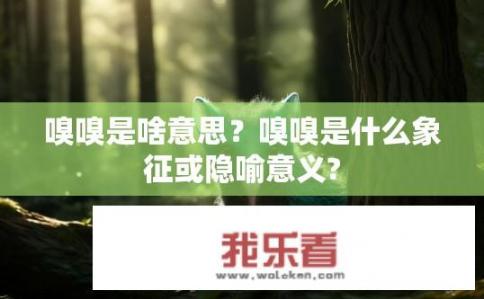 嗅嗅是啥意思？嗅嗅是什么象征或隐喻意义?