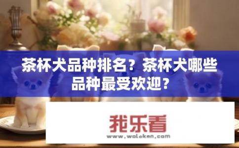 茶杯犬品种排名？茶杯犬哪些品种最受欢迎？