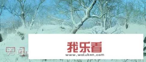 无问西东是什么电影？