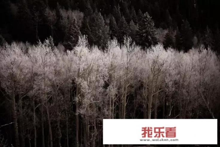 小红书怎么约一起旅游？