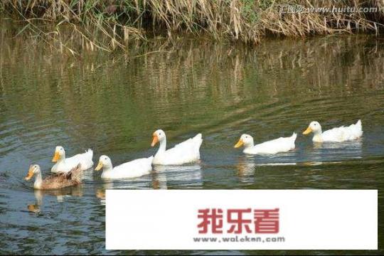 小红书怎么约一起旅游？