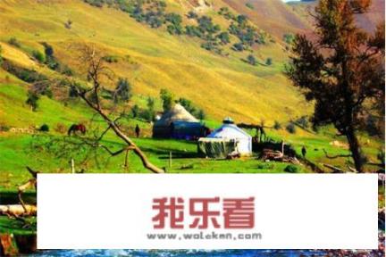 6月旅游需要带的东西？