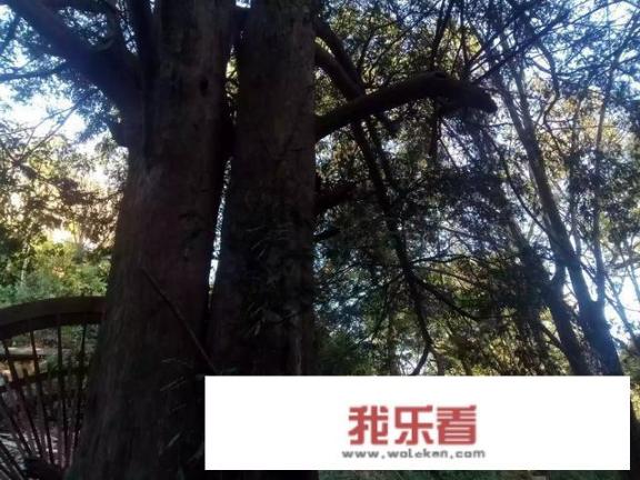 铃芽之旅是爱情主题吗？