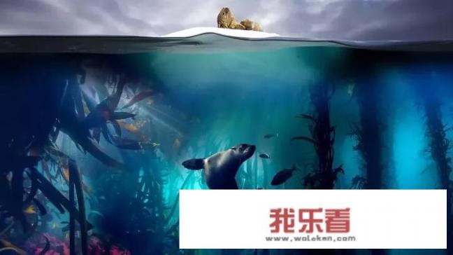 蓝色星球到底有多少秘密？
