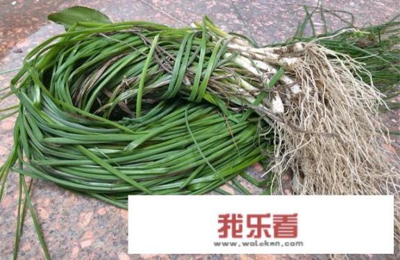 三人闺蜜名成熟高冷？