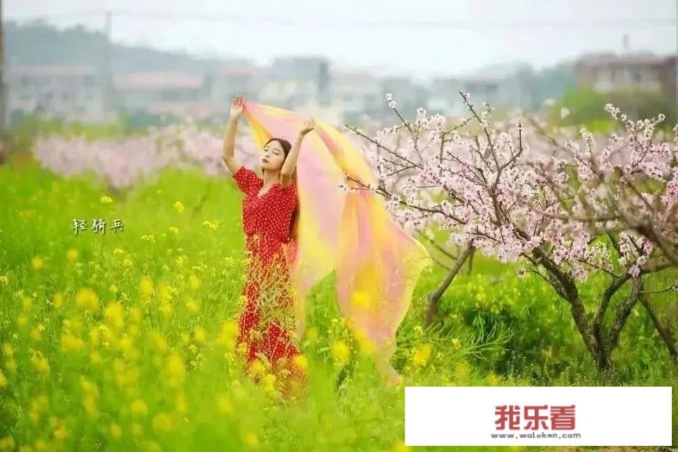 歌词里有原来所谓爱情是这么样是什么歌？