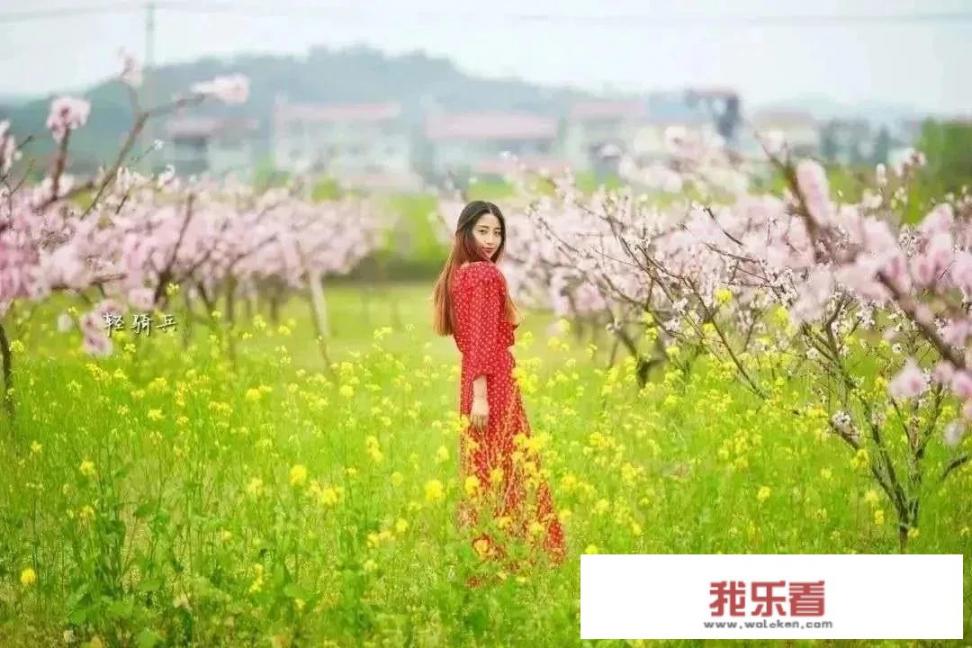 歌词里有原来所谓爱情是这么样是什么歌？