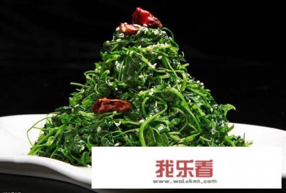 香苜蓿调料怎么用？