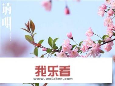 今年清明节有些地区真的不让上坟吗？那该怎么祭祖？