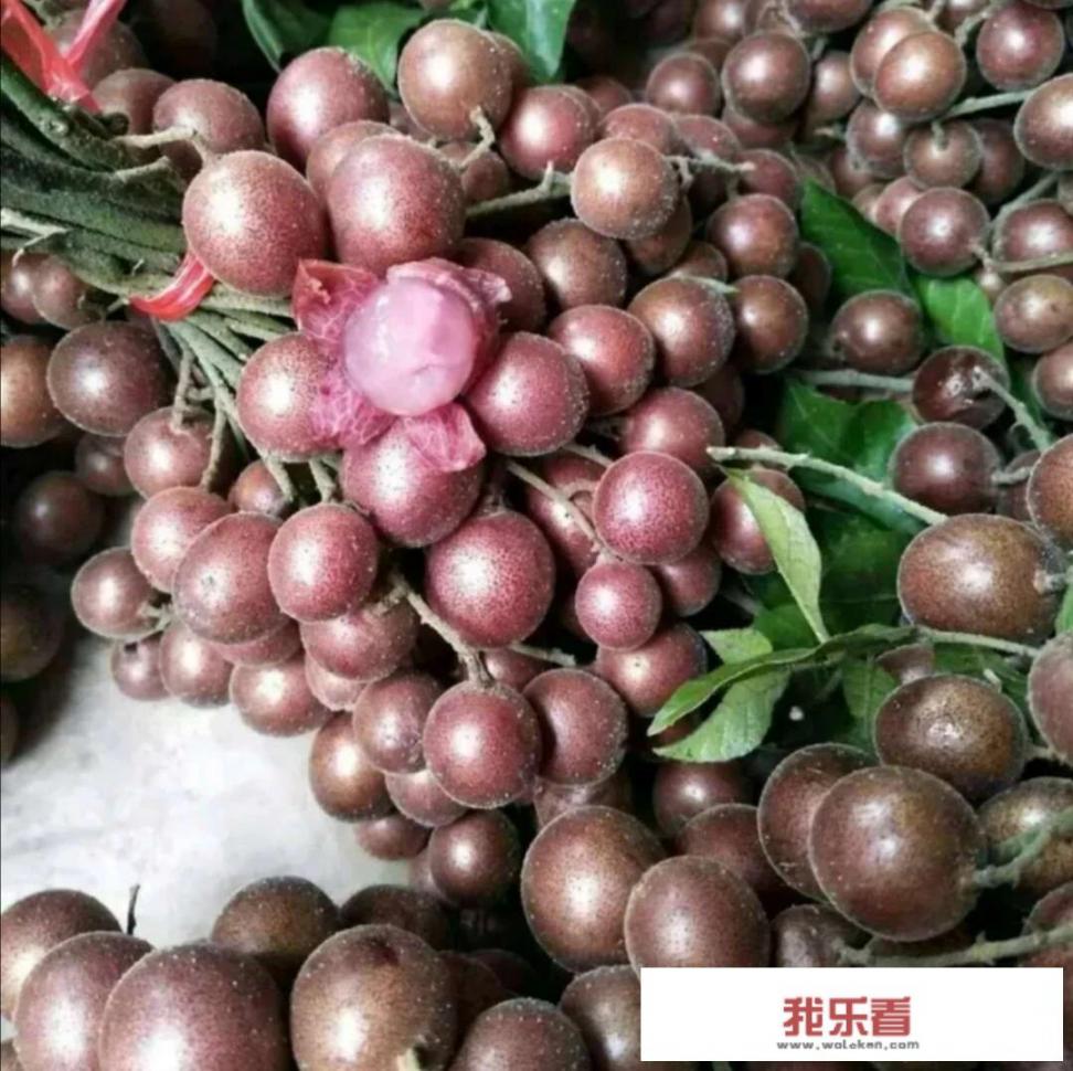 黄皮适合酸性还是碱性土？