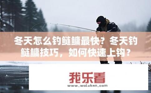 冬天怎么钓鲢鳙最快？冬天钓鲢鳙技巧，如何快速上钩？