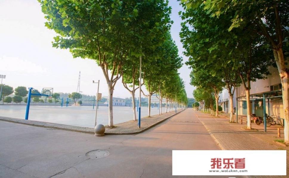 什么食物对养胃会有帮助？