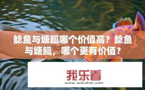 鲶鱼与塘鲺哪个价值高？鲶鱼与塘鲺，哪个更有价值？