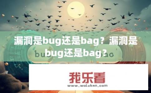 漏洞是bug还是bag？漏洞是bug还是bag？