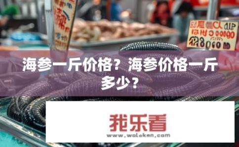 海参一斤价格？海参价格一斤多少？