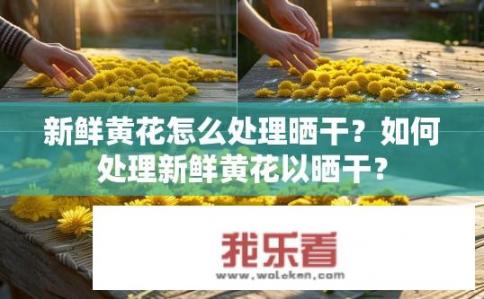 新鲜黄花怎么处理晒干？如何处理新鲜黄花以晒干？