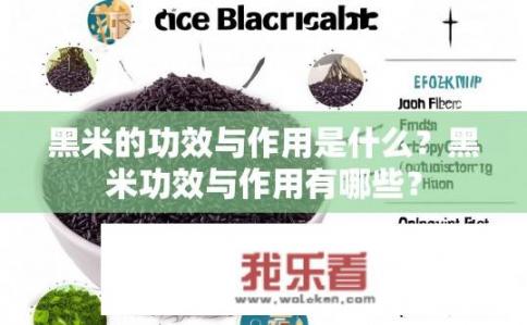 黑米的功效与作用是什么？黑米功效与作用有哪些？