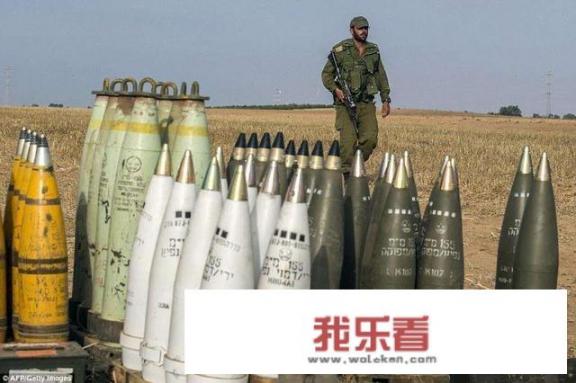 一个外国塔防游戏，封面上一只乌龟背上有个大炮，里面的角色都是黑色？