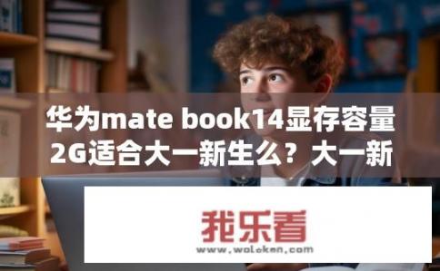 华为mate book14显存容量2G适合大一新生么？大一新生适合用华为MateBook 14（2G显存）吗？
