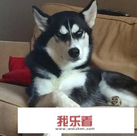 剧透《复联4》的人什么心理？