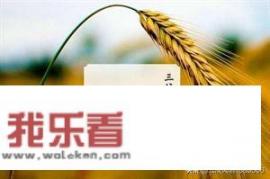 处暑节气的特点和风俗？