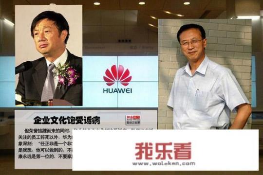 华为与袁隆平合作开发海水稻。你怎样看海水稻经济效益？是否可行？