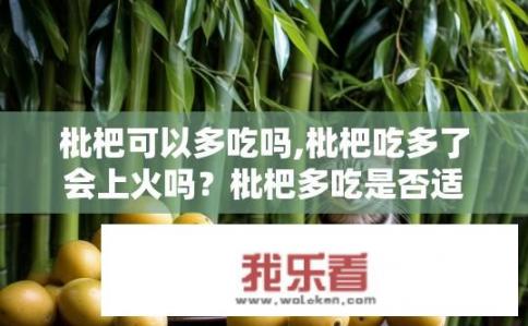 枇杷可以多吃吗,枇杷吃多了会上火吗？枇杷多吃是否适宜，吃多是否会上火？