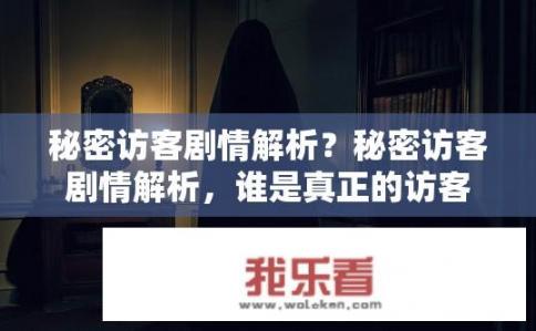 秘密访客剧情解析？秘密访客剧情解析，谁是真正的访客？