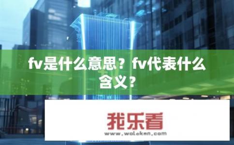 fv是什么意思？fv代表什么含义？
