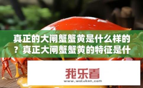 真正的大闸蟹蟹黄是什么样的？真正大闸蟹蟹黄的特征是什么？