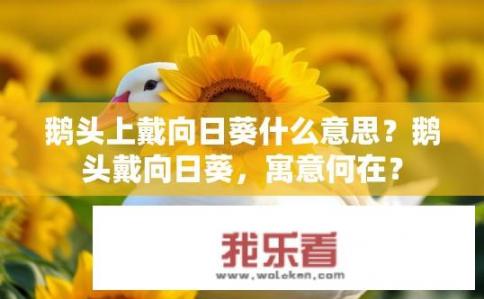鹅头上戴向日葵什么意思？鹅头戴向日葵，寓意何在？