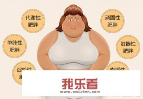 饮食养生的健康知识？
