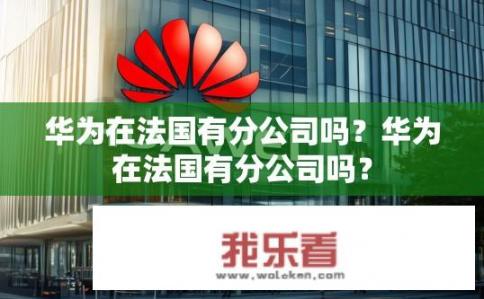 华为在法国有分公司吗？华为在法国有分公司吗？