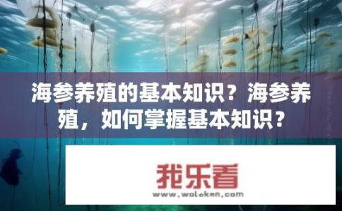 海参养殖的基本知识？海参养殖，如何掌握基本知识？