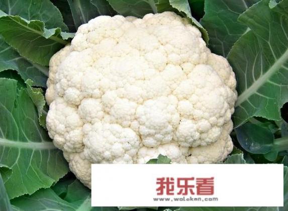 农村种植花菜，白花菜好还是绿花菜好？
