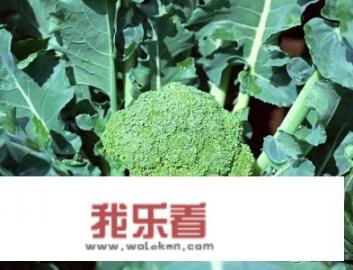农村种植花菜，白花菜好还是绿花菜好？