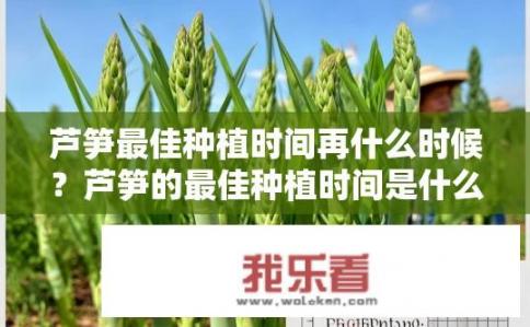 芦笋最佳种植时间再什么时候？芦笋的最佳种植时间是什么时候？
