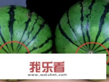 怎么才能判断西瓜是否是甜的？