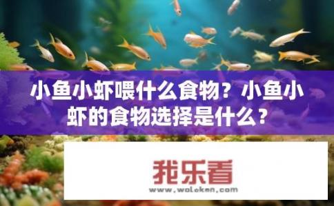 小鱼小虾喂什么食物？小鱼小虾的食物选择是什么？