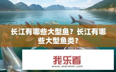 长江有哪些大型鱼？长江有哪些大型鱼类？