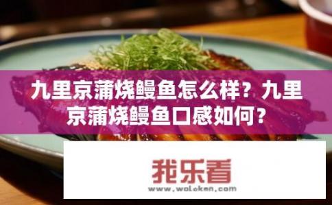 九里京蒲烧鳗鱼怎么样？九里京蒲烧鳗鱼口感如何？