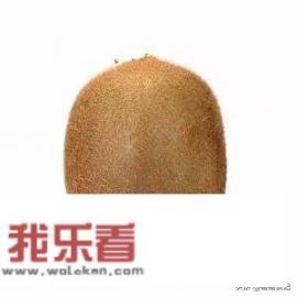 奇异果和猕猴桃一样吗？