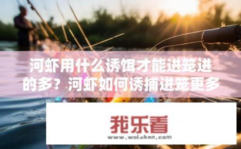 河虾用什么诱饵才能进笼进的多？河虾如何诱捕进笼更多？
