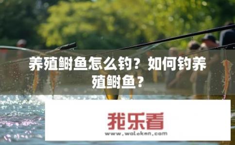 养殖鲥鱼怎么钓？如何钓养殖鲥鱼？