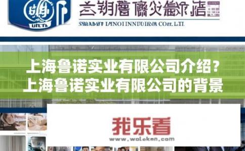 上海鲁诺实业有限公司介绍？上海鲁诺实业有限公司的背景介绍？