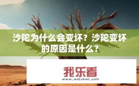 沙陀为什么会变坏？沙陀变坏的原因是什么？