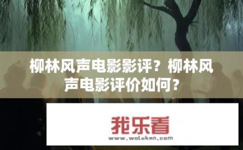 柳林风声电影影评？柳林风声电影评价如何？